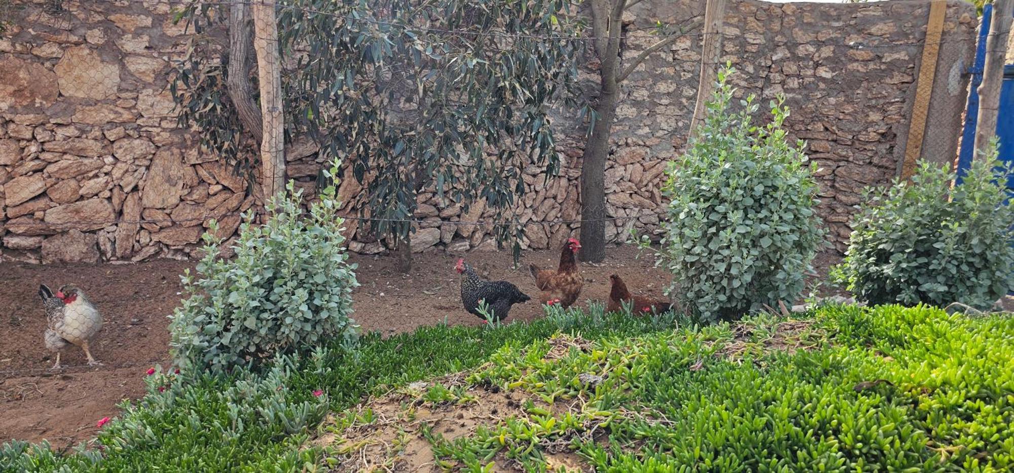 Golden Baibah Ξενοδοχείο Zaouia Akermoud Εξωτερικό φωτογραφία