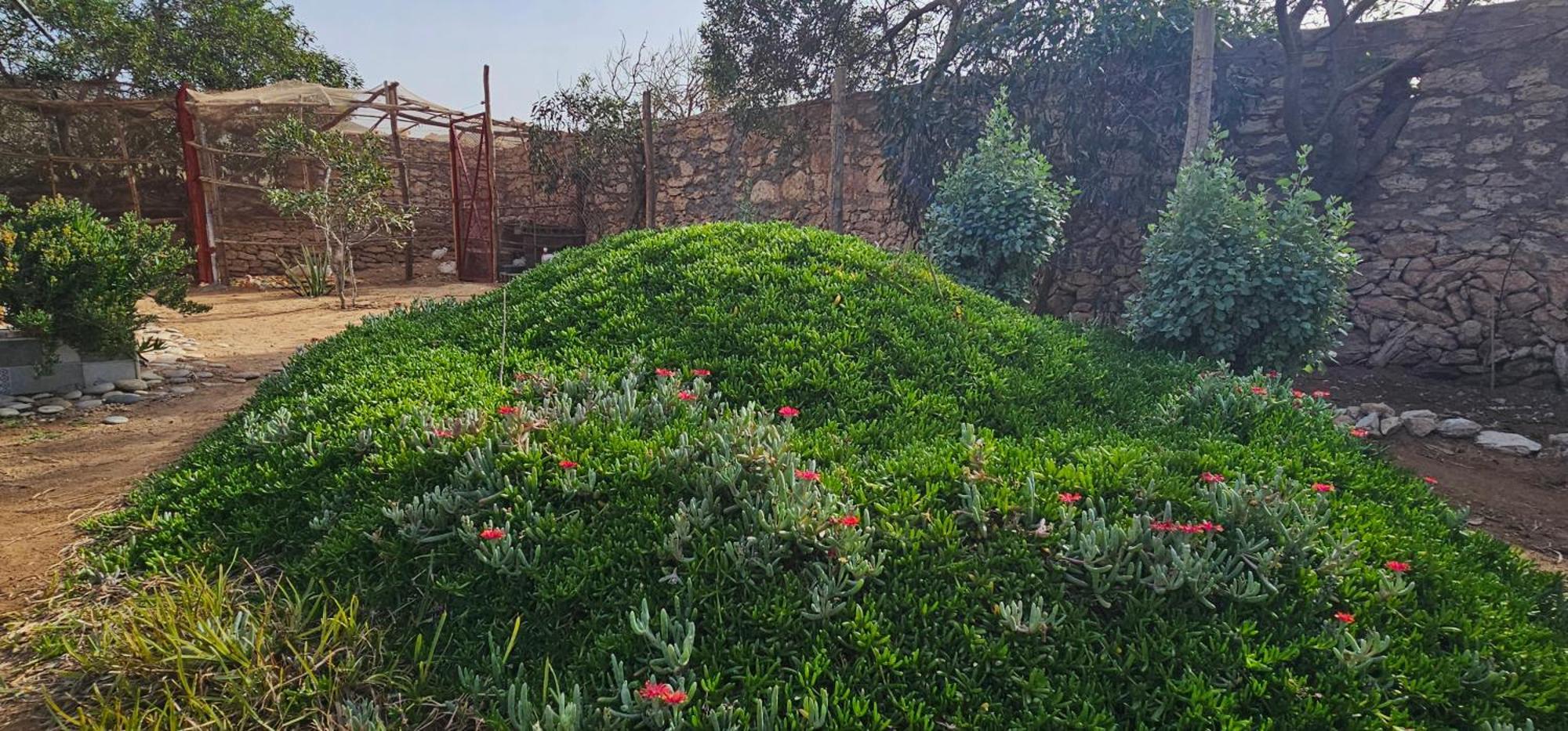 Golden Baibah Ξενοδοχείο Zaouia Akermoud Εξωτερικό φωτογραφία