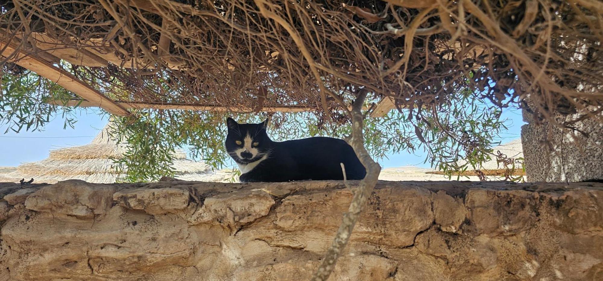Golden Baibah Ξενοδοχείο Zaouia Akermoud Εξωτερικό φωτογραφία